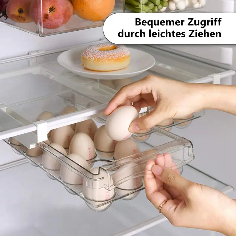 FrigoBox EggSafe - Eier-Aufbewahrungsbox für den Kühlschrank Try Unyque